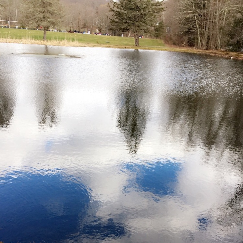 Meet your Posher, Raynie